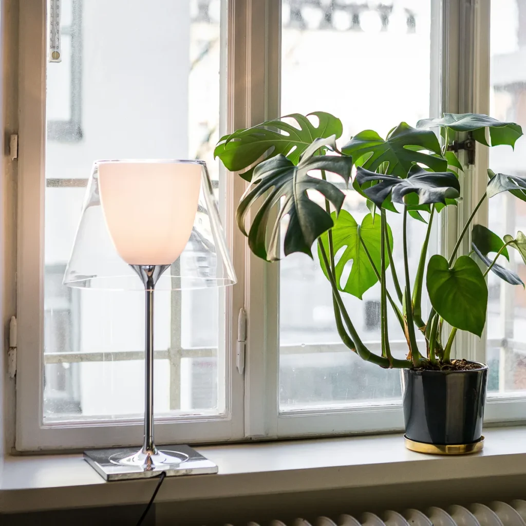 K-Tribe Table Glass