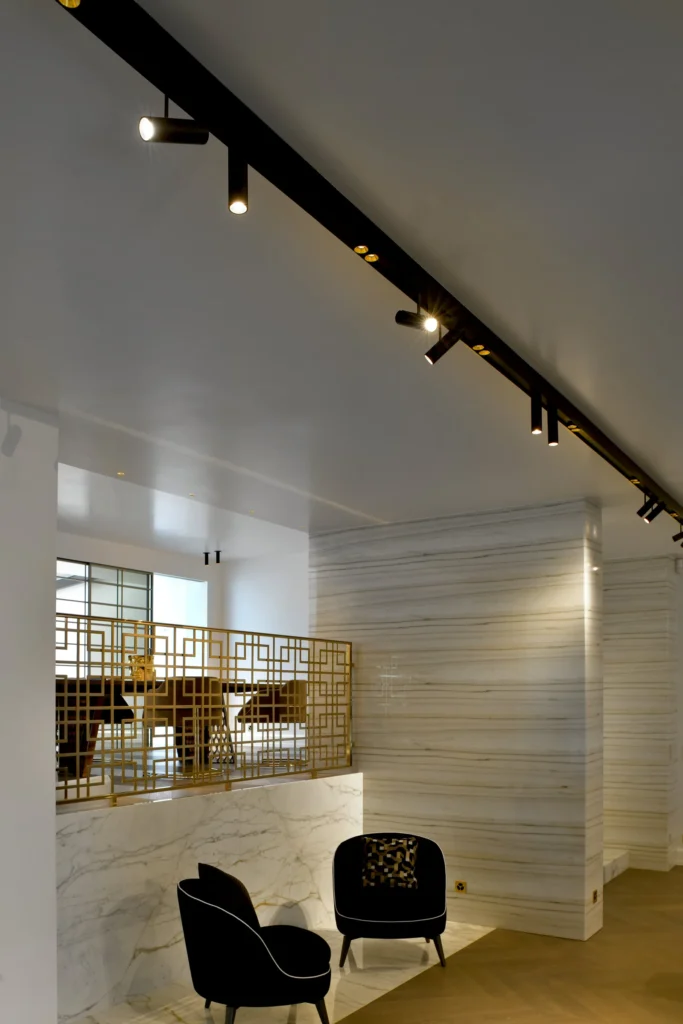 Cana channels with Holon downlights over a lounge and bookcase